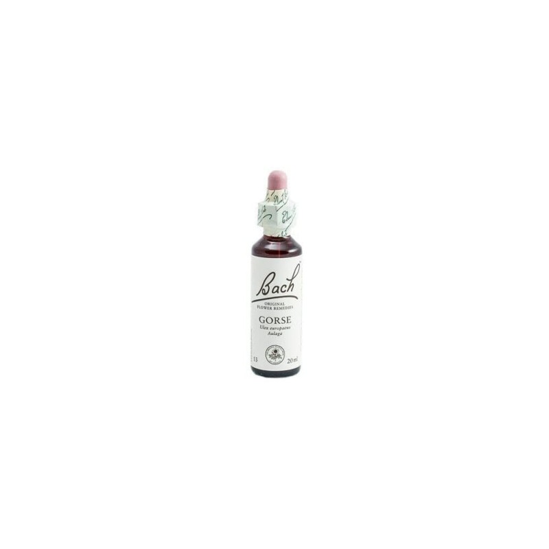 Bach Bach 13 Ajoncs 20 Ml (Fleurs d'Ajoncs de Bach) Bach Bach 13 Ajoncs 20 Ml (Fleurs d'Ajoncs de Bach)
