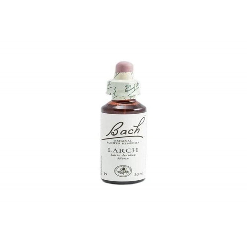 Bach Bach 19 Mélèze 20 Ml (Mélèze) Bach Bach 19 Mélèze 20 Ml (Mélèze)