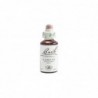 Bach Bach 19 Mélèze 20 Ml (Mélèze)