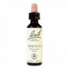 Bach Bach 20 Mimulus 20 Ml (Mimulo)