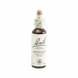 Bach Bach 21 Moutarde 20 Ml (Moutarde)