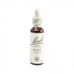 Bach Bach 23 Azeitona 20 Ml (Azeitona)