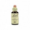 Bach Bach 25 Red Chestnut 20 Ml (Fiori di Castagno Rosso)