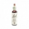 Bach Bach 26 Rock Rose 20 Ml (Heliantemo)