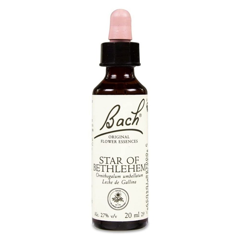 Bach Bach 29 Stern von Bethlehem 20Ml Bach Bach 29 Stern von Bethlehem 20Ml