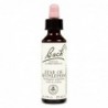 Bach Bach 29 Étoile De Bethléem 20Ml