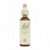 Bach Bach 33 Walnut Walnut 20 Ml (Walnut)