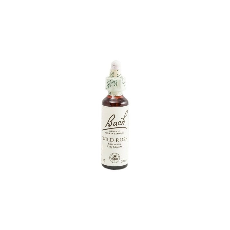 Bach Bach 37 Rose Sauvage 20 Ml (Rose Sauvage)