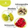 Natysal Rhodiola Complex 60 capsule
