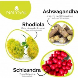 Natysal Rhodiola Complex 60 capsule