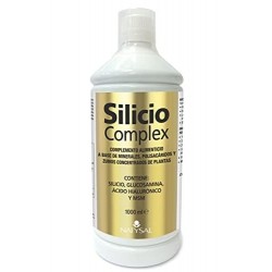 Natysal Siliziumkomplex mit Glucosamin 1 Liter