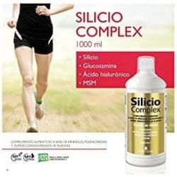 Natysal Siliziumkomplex mit Glucosamin 1 Liter