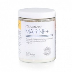 Vaminter Colagenova Marine Vanillegeschmack 295 Gramm