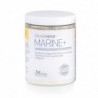 Vaminter Colagenova Marine Vanillegeschmack 295 Gramm