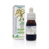 Soria Natural Composor 32 Complexe Uricide S XXI