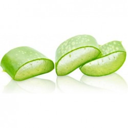  Aloe Vera e Limão Bi