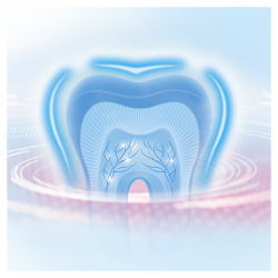 Confezione spazzolino elettrico ORAL-B Densify Pulizia professionale 3 1 unità