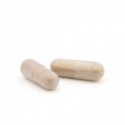 Plameca Capsudiet Carciofo 40 capsule vegetali 【ACQUISTA ONLINE】