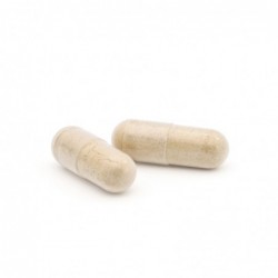 Plameca Capsudiet Mariendistel 40 Gemüsekapseln 【24 Stunden VERSAND】