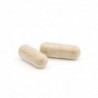 Plameca Capsudiet Mariendistel 40 Gemüsekapseln 【24 Stunden VERSAND】