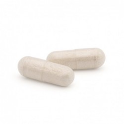 Plameca Capsudiet Horse Chestnut 40 vegetable capsules 【OFFER】