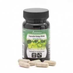 Plameca Capsudiet Ginkgo Biloba 40 Gemüsekapseln