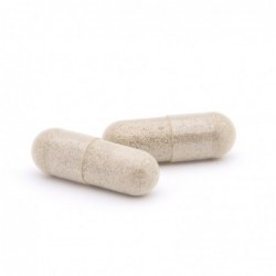 Plameca Capsudiet Ginkgo Biloba 40 Gemüsekapseln 【ONLINE KAUFEN】