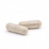 Plameca Capsudiet Ginkgo Biloba 40 vegetable capsules 【ONLINE BUY】