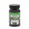 Plameca Capsudiet Finocchio 40 capsule vegetali 【SPEDIZIONE in 24 ore】