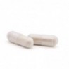 Plameca Capsudiet Finocchio 40 capsule vegetali 【SPEDIZIONE in 24 ore】