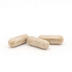 Plameca Capsudiet Passionflower 40 vegetable capsules 【OFFER】