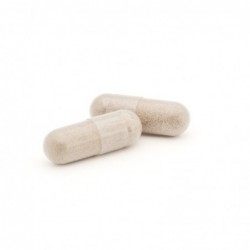 Plameca Capsudiet Uña de Gato 40 vegetable capsules 【ONLINE OFFER】