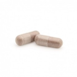 Plameca Cranbycyst Max 30 Gemüsekapseln 【24 Stunden VERSAND】