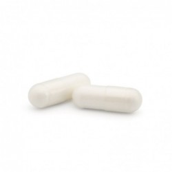 Plameca Kitansia 10 capsules 【24 hour SHIPPING】