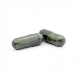 Plameca Plan Excès de 45 capsules végétales 【OFFRE】