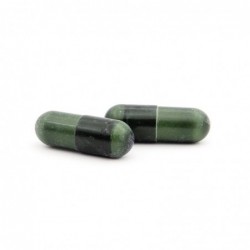 Plameca Plan Garcinia Activ 40+ 60 Gemüsekapseln 【ONLINE KAUFEN】
