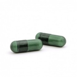 Plameca Plan Garcinia Activ 60 capsule 【OFFERTA】