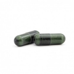 Plano Plameca Sem Activ 45 cápsulas vegetais 【FRETE 24 horas】