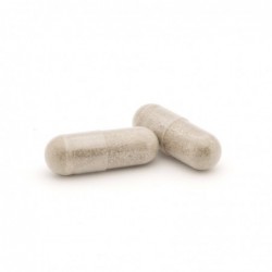 Plameca Protectium Defens 20 Gemüsekapseln