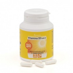 Plameca Vitamine D3 4000 UI 90 Gélules Végétales