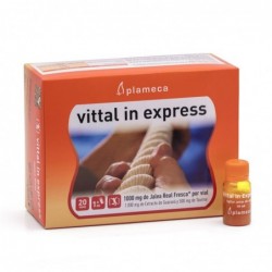 Plameca Vittal In Express 20 vials of 10 ml