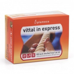 Plameca Vittal In Express 20 vials of 10 ml