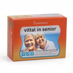 Plameca Vittal In Senior 20 Fläschchen mit 10 ml