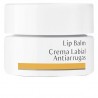 Dr. Hauschka Balsamo Labbra Antirughe 4,5 ml
