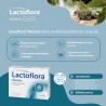 LACTOFLORA Restore Adults 20 Capsules