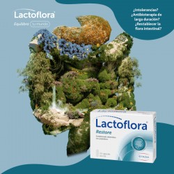 LACTOFLORA Restore Erwachsene 20 Kapseln