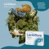 LACTOFLORA Restore Erwachsene 20 Kapseln