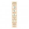 NESTLÉ Glutenfreier Porridge Creme aus Reis und Mais 240g