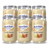 Nutribén Divers Fruits 6x235g