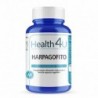 H4U Harpagofito 100 comprimés